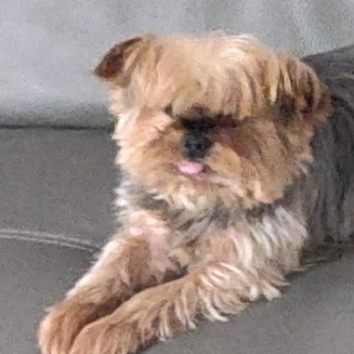 Coco Levin